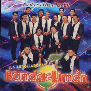 La Arrolladora Banda El Limon - Un Amor En El Olvido