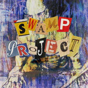 Swamp Project (Explicit)