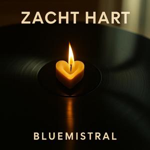 Zacht hart (Dutch/Nederlands)