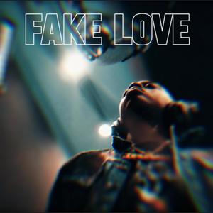 Fake Love