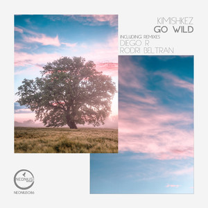 Go Wild (Rodri Beltran Remix)