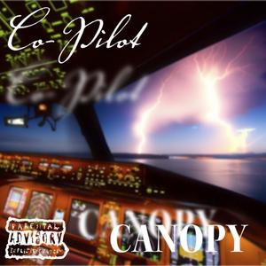 Co-Pilot (Explicit)