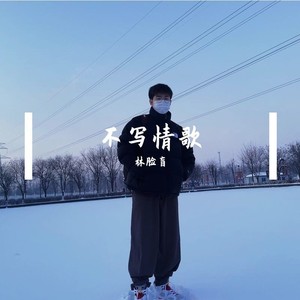 不写情歌