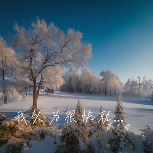 那天见面就是最后一面