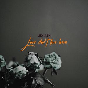 Love don't live here (Live)