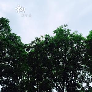 太久了Demo