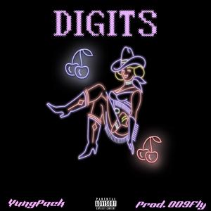 Digits (feat. 009fly) [Explicit]