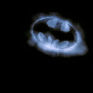 Need me (feat. Notorious Dre & Faz) (Explicit)