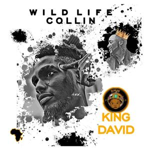 King David (freestyle)