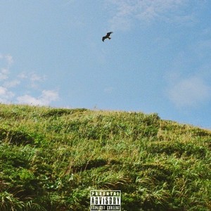 BIRDSTRIKE (feat. F1VE as J5T) (Explicit)