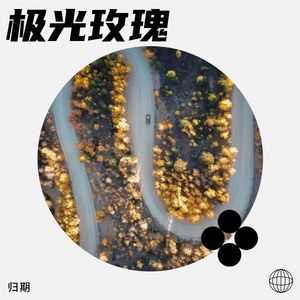 极光玫瑰封面
