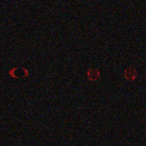 BL33DING 0UT (feat. TREBOR) (Explicit)