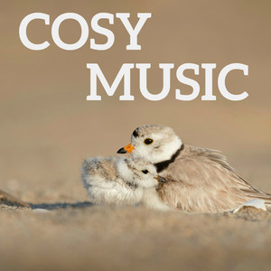 Cosy Music (舒适的音乐)