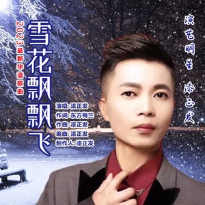雪花飘飘飞 (伴奏)