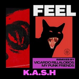 Feel (Vicardo Rillalobos Melodramatic Remix)