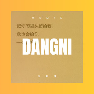 当年情 (DJ版)