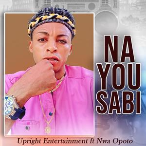 Na You Sabi (feat. Nwa Opoto)