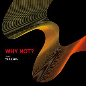 Why Not? (Explicit)