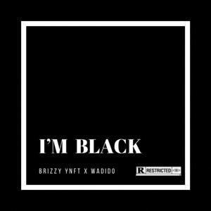 I'm Black (Explicit)