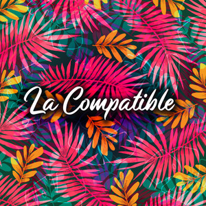 La Compatible