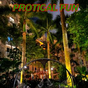 protical fun (Explicit)