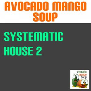 Systematic House, Vol. 2