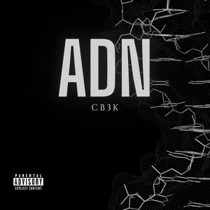 ADN (Explicit)