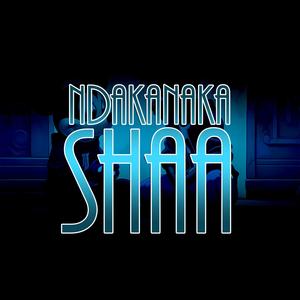 Ndakanaka Shaa (feat. Young Fantan)