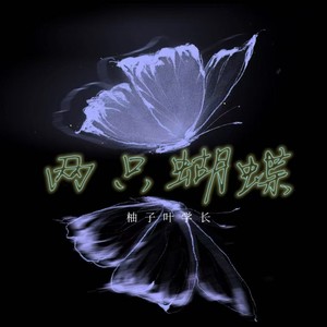 两只蝴蝶 (R&B版)