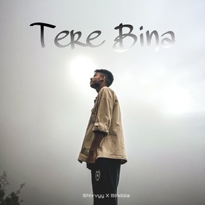 Tere Bina