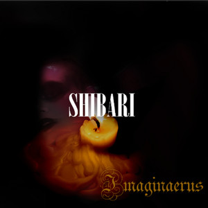 Shibari (Explicit)