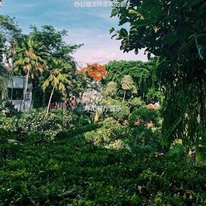 办公室工作柔和的爵士