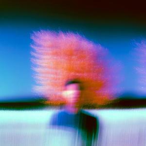 ÉCOSYSTÈME (Explicit)