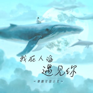 我在人海遇见你（DJ阿诺版）