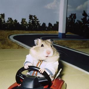 我鸟都不鸟你 (R&B版)