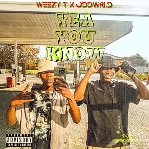 YEA YOU KNOW (feat. ODDWRLD_) [Explicit]