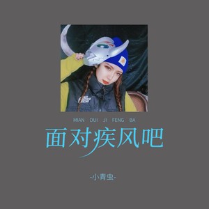 面对疾风吧 (DJ彭锐版伴奏)