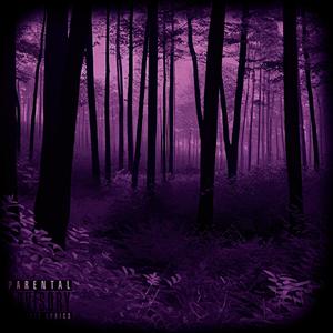 Silence (feat. Fugazi Naz) (Explicit)