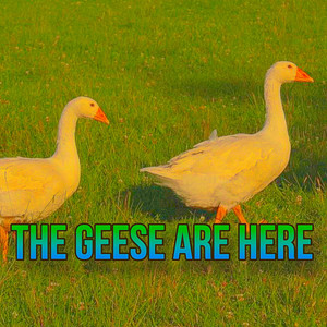 The Geese Are Here