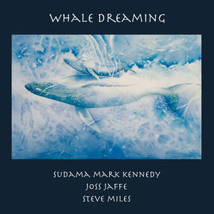 Sudama Mark Kennedy - We Are Listening