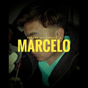 Marcelo (Explicit)