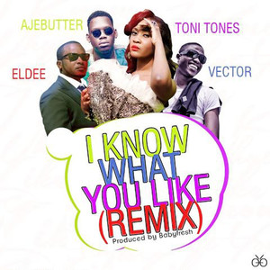 I Know What You Like (Remix)