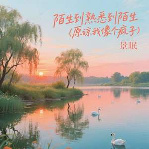 陌生到熟悉到陌生 (原谅我像个疯子)