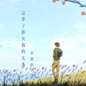 这辈子你欠我的太多 (烟嗓版伴奏)