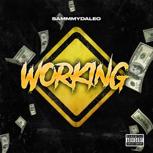 WORKING (Explicit)