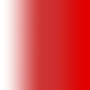 12(Homenaje a Roberto Carlos)