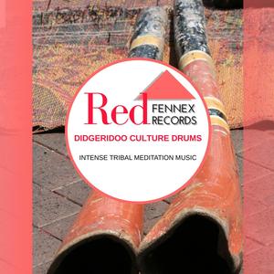 Aggressively Synchorised Orchestral Didgeridoo (Original Mix)