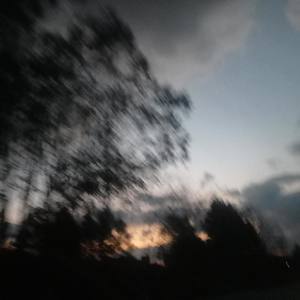 一腔诗意喂了狗