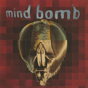 Mind Bomb