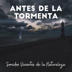 Antes de la Tormenta